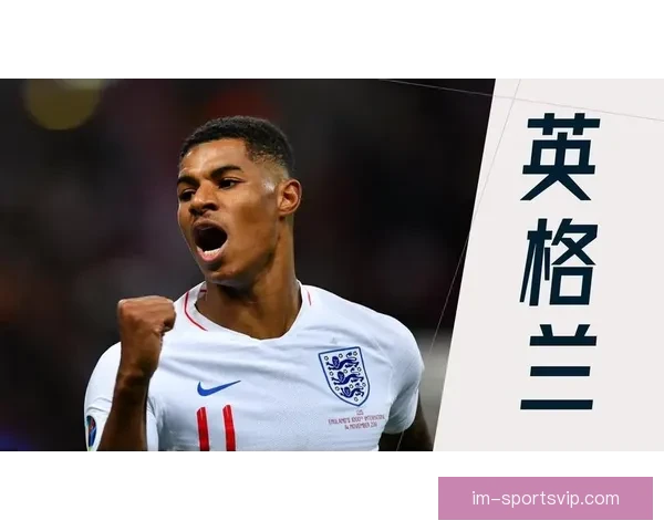 深度解析2026世界杯投注赔率走势与热门球队冠军概率全景预测分析