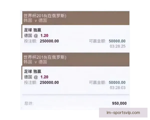 全球视角深度解析世界杯买球平台玩法策略安全指南与未来趋势